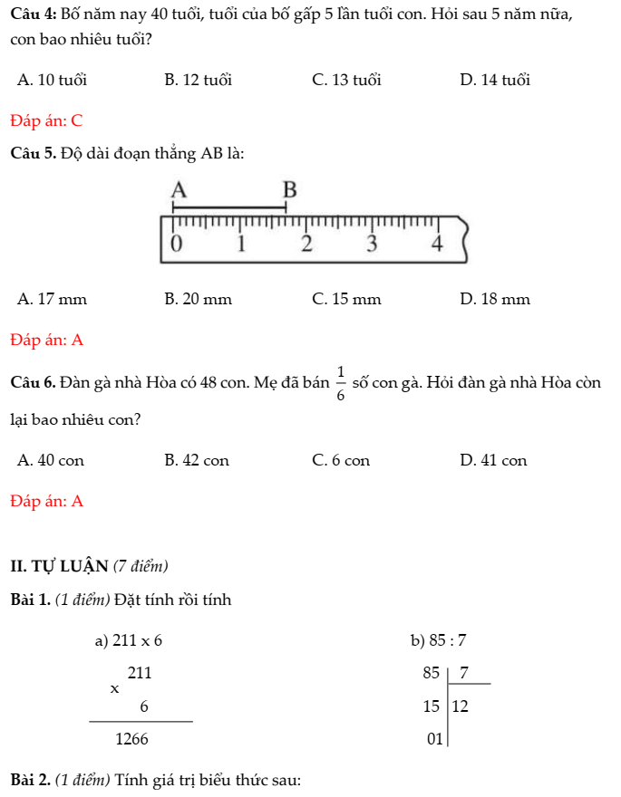 20+ Đề thi Toán lớp 3 Học kì 1 Cánh diều 2025 (tải nhiều)