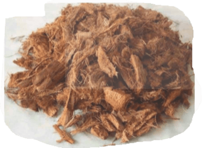 Đề cương ôn tập Công nghệ lớp 4 Giữa kì 1 Kết nối tri thức (có lời giải)