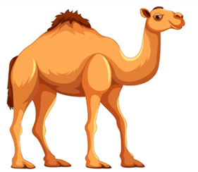 Đề cương ôn tập Giữa kì 1 Tiếng Anh lớp 4 Smart Start (có lời giải)