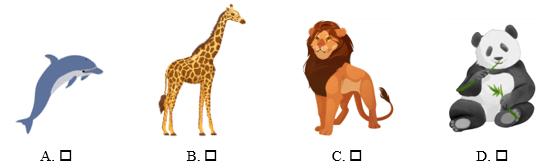 Đề cương ôn tập Giữa kì 1 Tiếng Anh lớp 4 Smart Start (có lời giải)