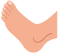 Đề cương ôn tập Giữa kì 2 Tiếng Anh lớp 4 Family and Friends (có lời giải)