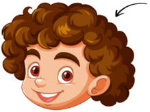 Đề cương ôn tập Giữa kì 2 Tiếng Anh lớp 4 Smart Start (có lời giải)