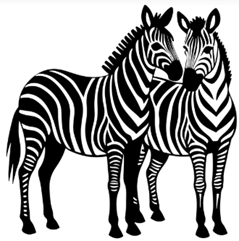 Đề cương ôn tập Học kì 1 Tiếng Anh lớp 4 Smart Start (có lời giải)