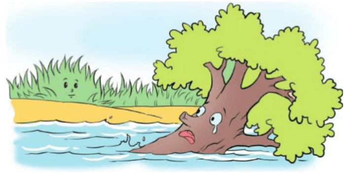 Đề cương ôn tập Tiếng Việt lớp 4 Giữa kì 1 Kết nối tri thức (có lời giải)