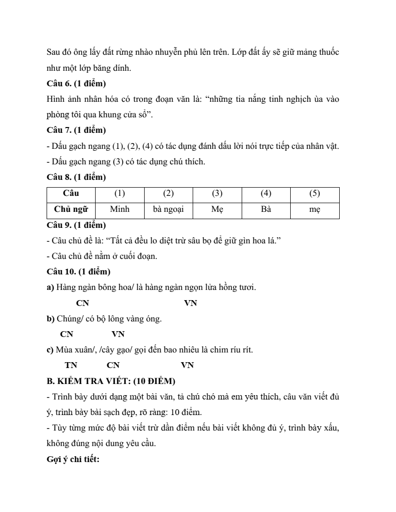 20 Đề thi Học kì 2 Tiếng Việt lớp 4 Chân trời sáng tạo (có đáp án, cấu trúc mới)