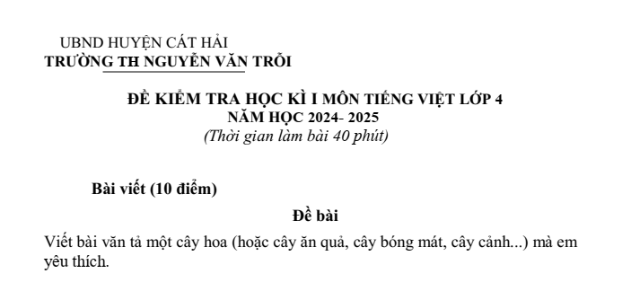 Đề thi Học kì 1 Tiếng Việt lớp 4 năm 2024-2025 trường Tiểu học Nguyễn Văn Trỗi (Hải Phòng)
