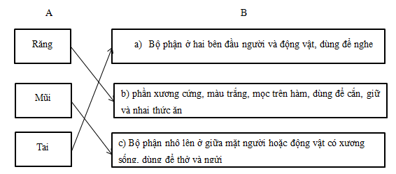 Bài tập cuối tuần Tiếng Việt lớp 5 Tuần 7 có đáp án (4 phiếu) | Đề kiểm tra cuối tuần Tiếng Việt 5 có đáp án