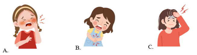 Đề cương ôn tập Giữa kì 2 Tiếng Anh lớp 5 Global Success (có lời giải)