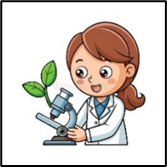 Đề cương ôn tập Học kì 2 Tiếng Anh lớp 5 Smart Start (có lời giải)