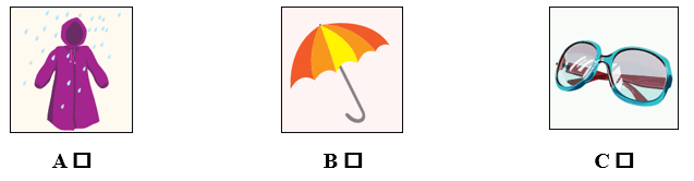 Đề cương ôn tập Học kì 2 Tiếng Anh lớp 5 Smart Start (có lời giải)