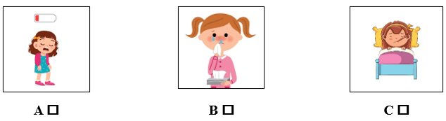 Đề cương ôn tập Học kì 2 Tiếng Anh lớp 5 Smart Start (có lời giải)