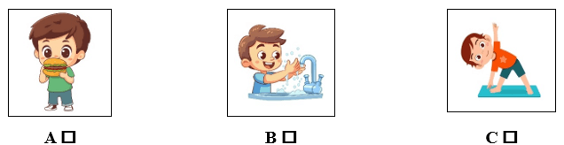 Đề cương ôn tập Học kì 2 Tiếng Anh lớp 5 Smart Start (có lời giải)