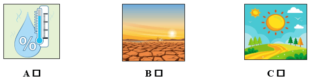 Đề cương ôn tập Học kì 2 Tiếng Anh lớp 5 Smart Start (có lời giải)