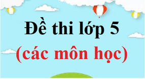 Đề thi lớp 5 (năm 2024)