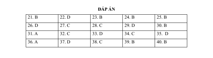 Đề thi thử vào lớp 6 môn Tiếng Anh trường THCS Ngoại Ngữ (năm 2023)