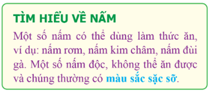 3 Đề thi Học kì 1 Tin học lớp 5 Cánh diều (có đáp án + ma trận)