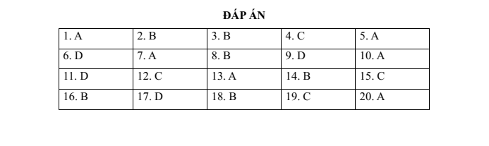 Đề thi vào lớp 6 Khảo sát năng lực trường THPT chuyên Trần Đại Nghĩa (năm 2024)