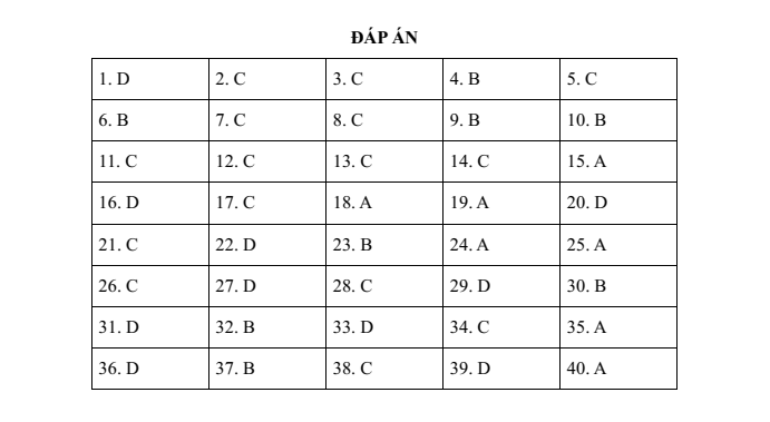 Đề thi thử vào lớp 6 môn Tiếng Anh trường THCS&THPT Lương Thế Vinh (năm 2022 - Đề số 1)