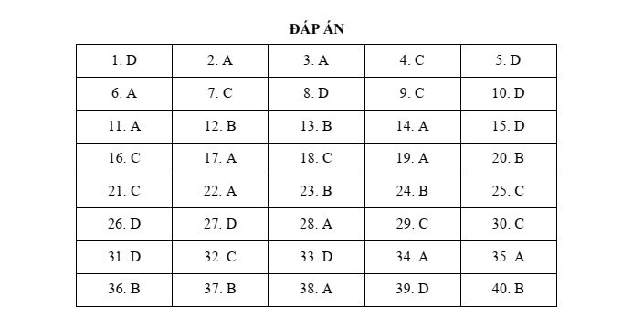 Đề thi thử vào lớp 6 môn Tiếng Anh trường THCS&THPT Lương Thế Vinh (năm 2022 - Đề số 2)