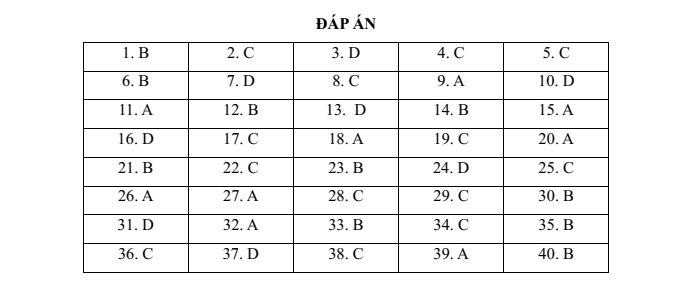 Đề thi thử  vào lớp 6 môn Tiếng Anh trường THCS&THPT Lương Thế Vinh (năm 2022 - Đề số 3)