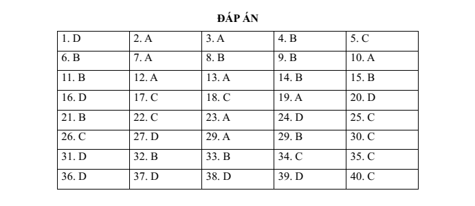 Đề thi vào lớp 6 môn Tiếng Anh trường Nguyễn Tri Phương (năm 2021)