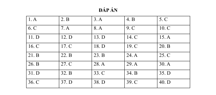 Đề thi vào lớp 6 môn Tiếng Anh trường Nguyễn Tri Phương (năm 2022)