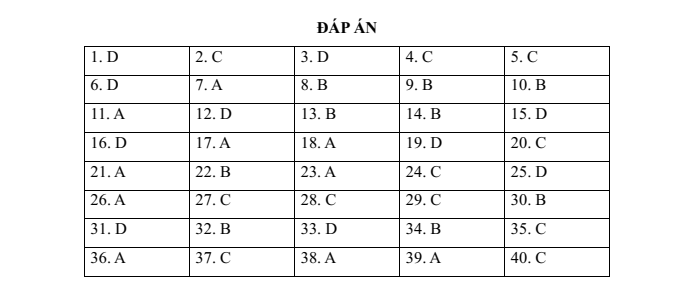 Đề thi vào lớp 6 môn Tiếng Anh trường Nguyễn Tri Phương (năm 2023)
