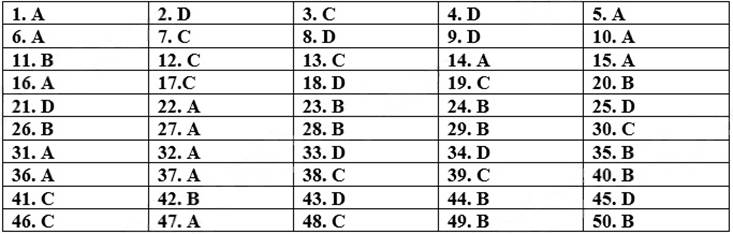 Đề thi vào lớp 6 môn Tiếng Việt trường THCS Archimedes (năm 2022)