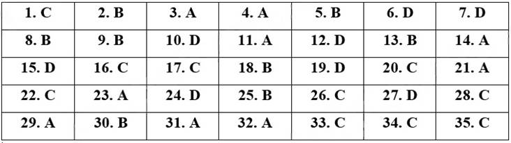 Đề thi vào lớp 6 môn Tiếng Việt trường THCS Archimedes (năm 2024)