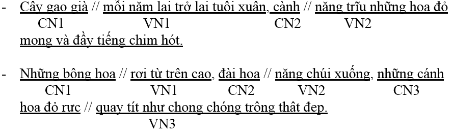 Phiếu bài tập cuối tuần Tiếng Việt lớp 5 Tuần 23 có đáp án (5 phiếu) | Đề kiểm tra cuối tuần Tiếng Việt 5 có đáp án