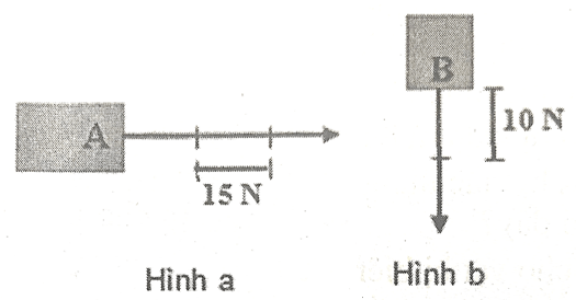 Đề cương ôn tập Giữa kì 2 KHTN 6 Kết nối tri thức (nối tiếp)