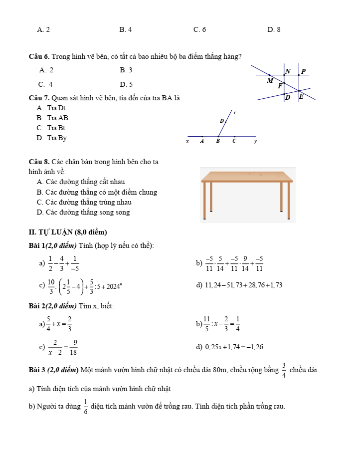 Đề cương ôn tập Giữa kì 2 Toán 6 trường THCS Thăng Long năm 2024-2025
