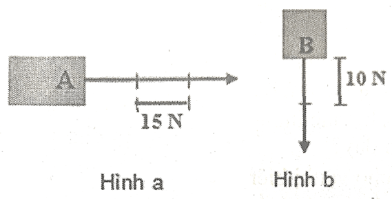 Đề cương ôn tập Học kì 1 KHTN 6 Cánh diều (song song)