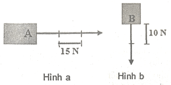 Đề cương ôn tập Học kì 2 KHTN 6 Cánh diều (nối tiếp)