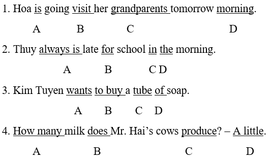 Đề kiểm tra 15 phút Tiếng Anh lớp 6 Học kì 2 có đáp án (Đề 5)