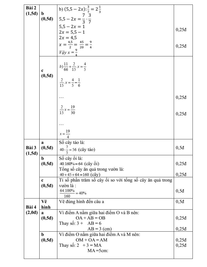 Đề thi Giữa kì 2 Toán 6 trường THCS Phú Lãm (Hà Nội) năm 2023-2024