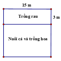 Đề thi Học kì 1 Toán 6 năm 2024-2025 Trường THCS Hiệp Bình