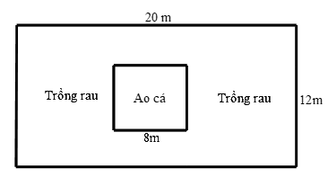 Đề thi Học kì 1 Toán 6 năm 2024-2025 Trường THCS Tân Phú