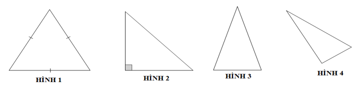 Đề thi Học kì 1 Toán 6 năm 2024-2025 Trường THCS Cát Lái