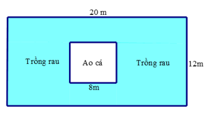 Đề thi Học kì 1 Toán 6 năm 2024-2025 Trường THCS Cát Lái