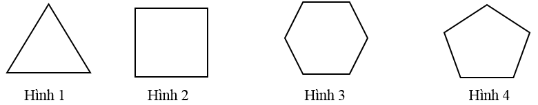 Đề thi Học kì 1 Toán 6 năm 2024-2025 Trường THCS Thái Văn Lung