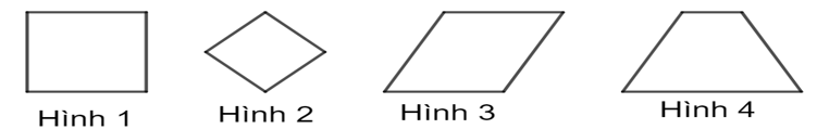 Đề thi Học kì 1 Toán 6 năm 2024-2025 Trường THCS Bàn Cờ