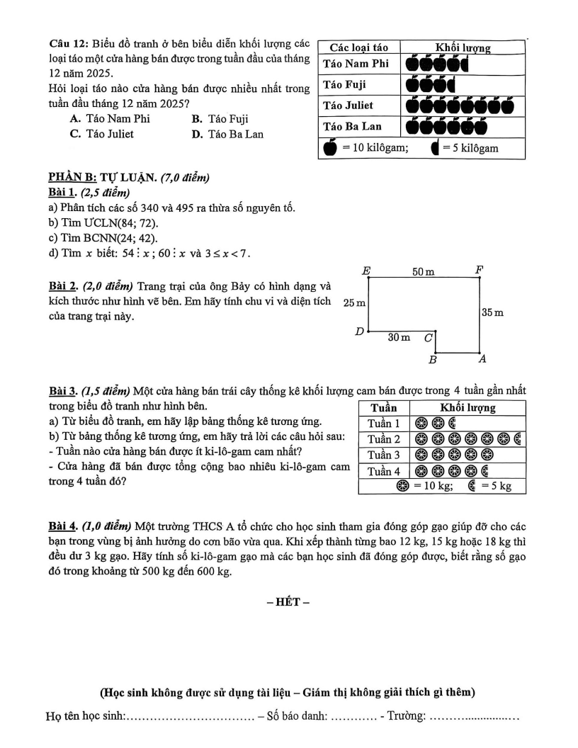 Đề thi Học kì 1 Toán 6 trường THCS Chu Văn An (Tp.HCM) năm 2025-2026