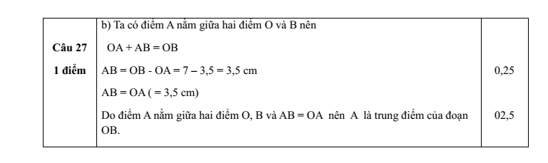 Đề thi Học kì 2 Toán 6 trường THCS Võ Trường Toản (Bà Rịa - Vũng Tàu) năm 2024-2025
