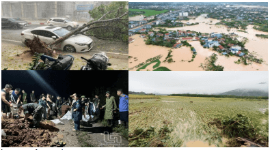 Đề thi học sinh giỏi Ngữ Văn 6 Phòng GD&ĐT Quận 12 năm 2025