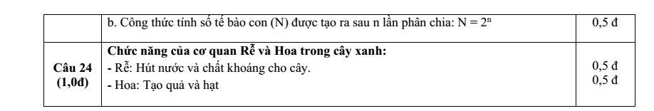 Đề thi Giữa kì 1 KHTN 6 năm 2024-2025 trường TH&THCS Vinh Quang (Kon Tum)