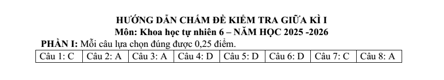Đề thi Giữa kì 1 KHTN 6 năm 2025-2026 trường THCS Tam Hiệp (Hà Nội)