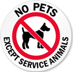 Đề cương ôn tập Học kì 1 Tiếng Anh 7 Friends plus (có lời giải)