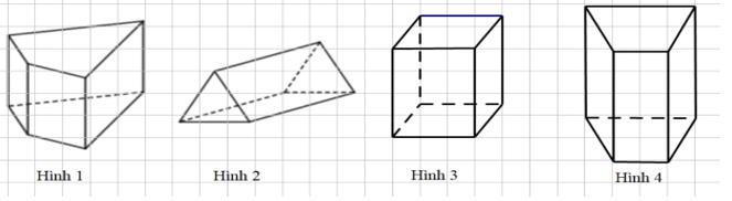 Đề thi Giữa kì 1 Toán 7 năm 2025 năm 2025 Trường THCS Long Bình