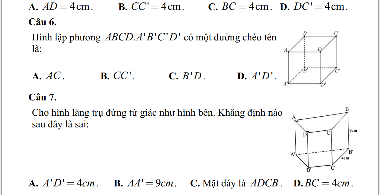 Đề thi Giữa kì 1 Toán 7 năm 2024-2025 Trường THCS Tân Xuân (Tp.HCM)